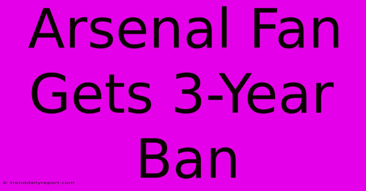 Arsenal Fan Gets 3-Year Ban