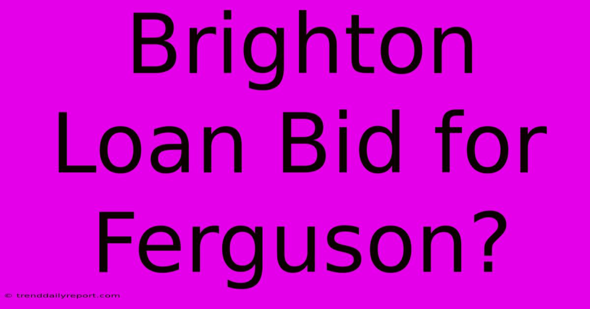 Brighton Loan Bid For Ferguson?