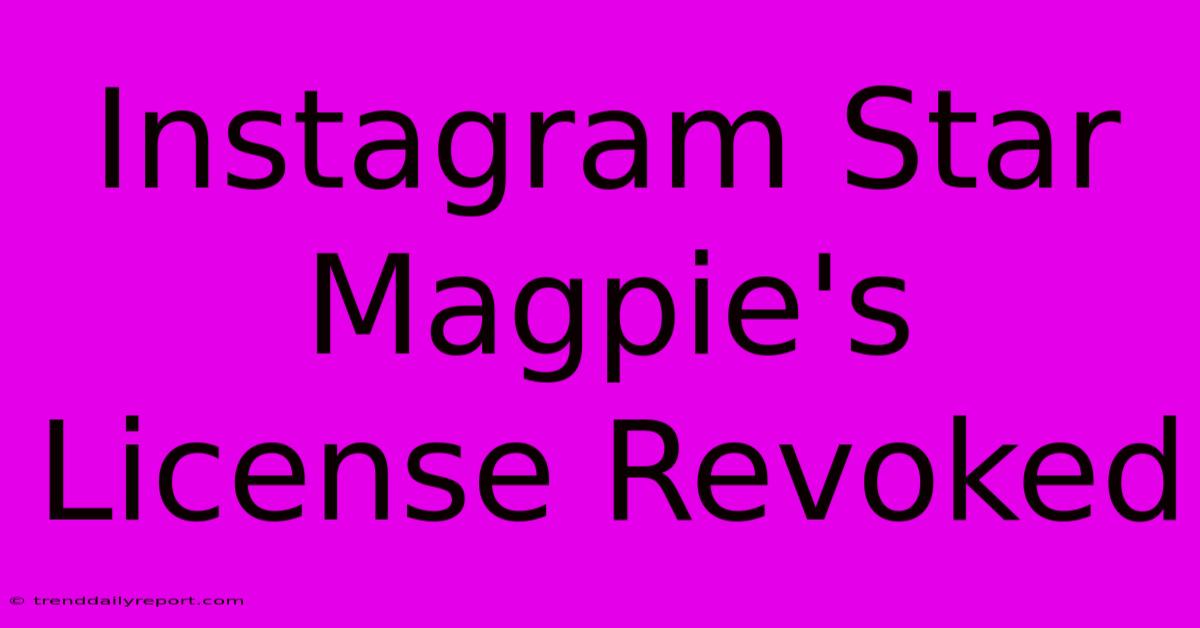 Instagram Star Magpie's License Revoked