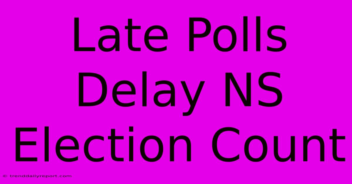 Late Polls Delay NS Election Count