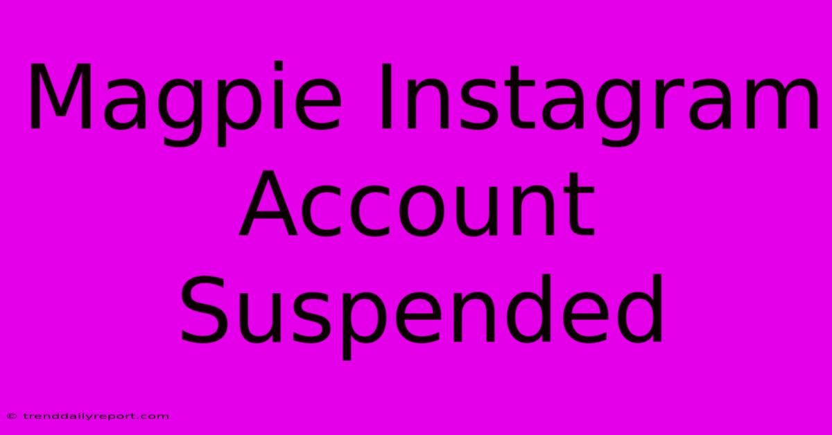 Magpie Instagram Account Suspended