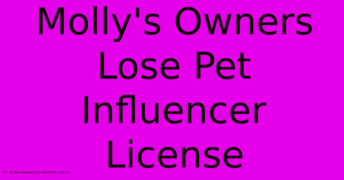 Molly's Owners Lose Pet Influencer License