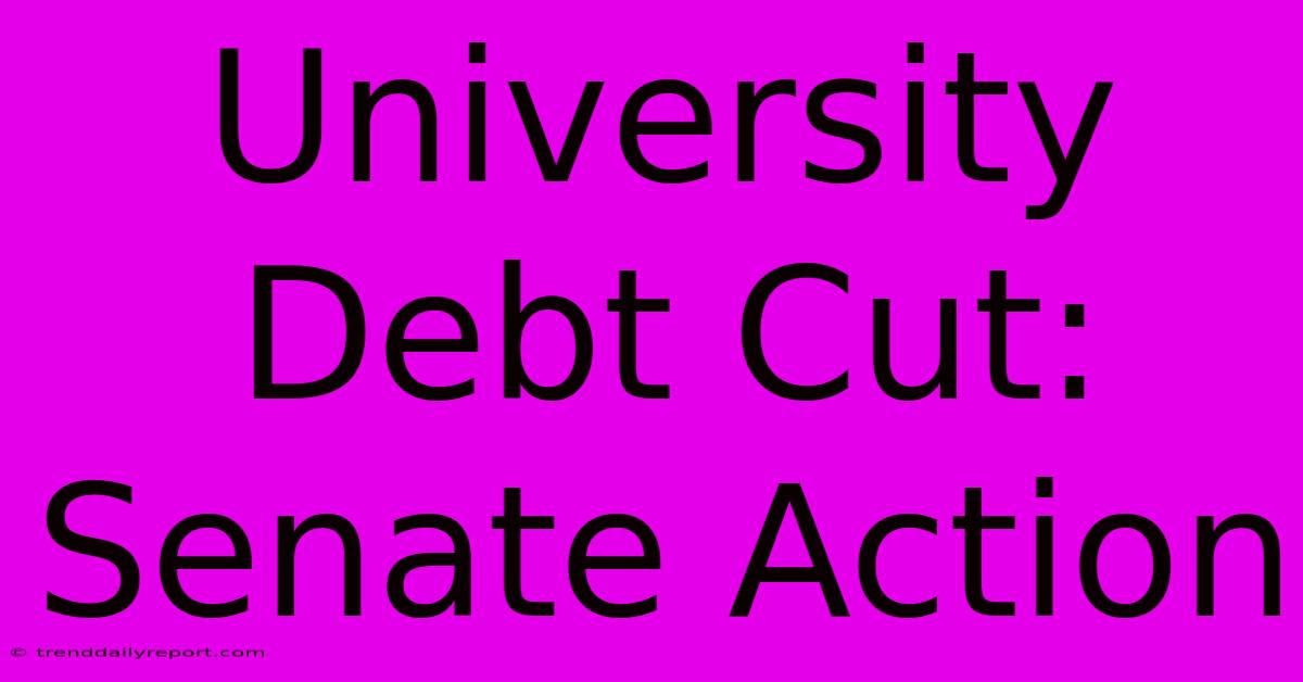 University Debt Cut: Senate Action